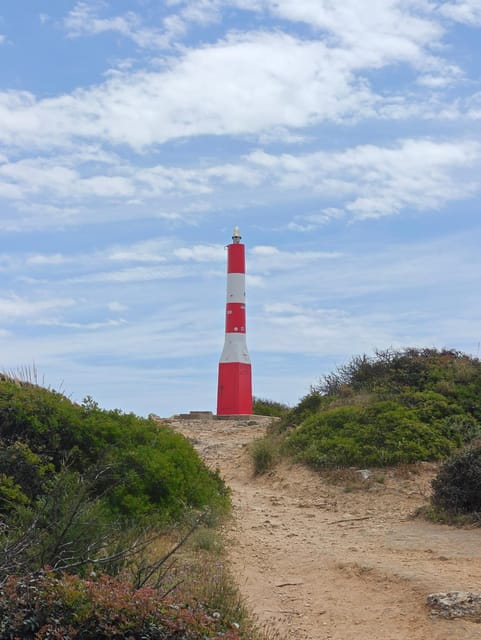 Albufeira: Albufeira Marina & west coast Tour 1.5h - Price and Practicalities