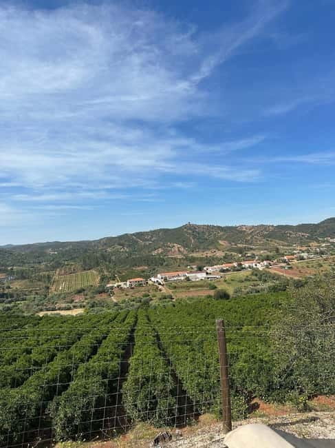 Albufeira: Alte, Paderne, and Messines Jeep Safari Tour - Key points / Takeaways