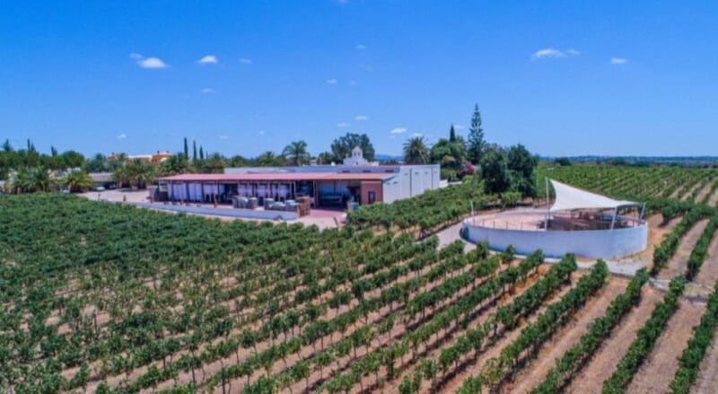 Albufeira Coast Tour, Winery & Chicken lunch - Who Should Consider This Tour?