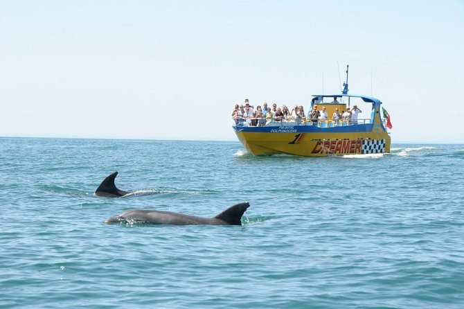 Albufeira Dreamer Boat Trip - Inclusion Details