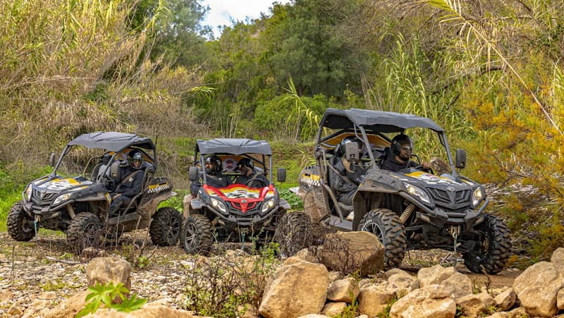 Albufeira: Full-Day Buggy Driving Tour with Lunch Included - Who This Tour Is Perfect For