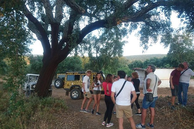 Albufeira (FULL DAY) Jeep Safari Tour - Safety and Hygiene Protocols
