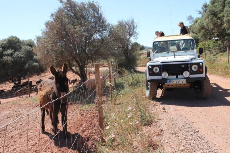 Albufeira: Jeep Safari Half-Day Countryside Tour - Tasting Local Flavors