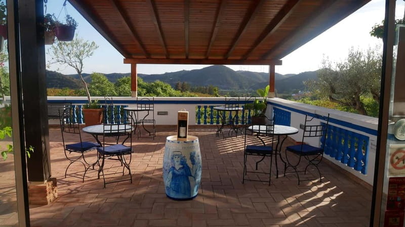 Albufeira, Olhão, Faro: visit to a vineyard, free time in Silves - Key points / Takeaways