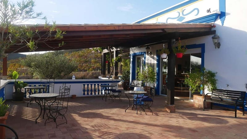 Albufeira, Olhão, Faro: visit to a vineyard, free time in Silves - Exploring the Algarve’s Hidden Side: A Day in the Vineyard and Silves