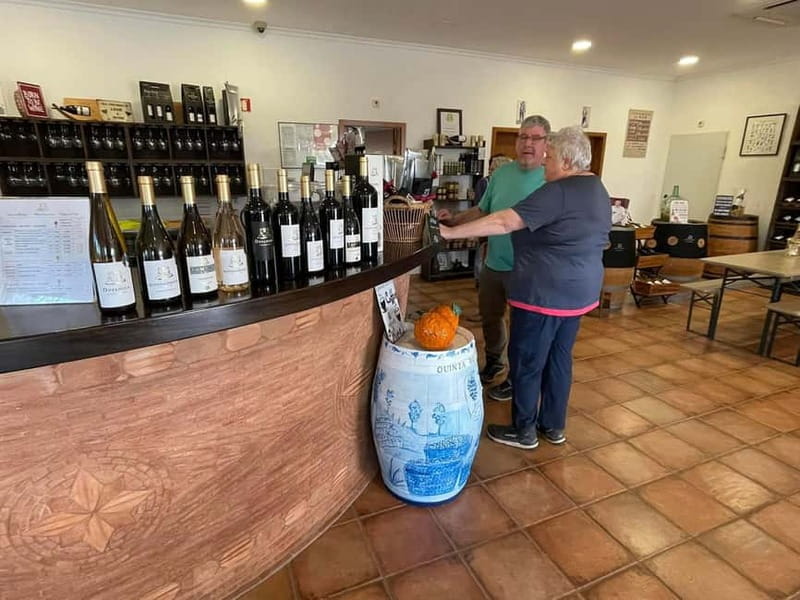 Albufeira, Olhão, Faro: visit to a vineyard, free time in Silves - FAQ