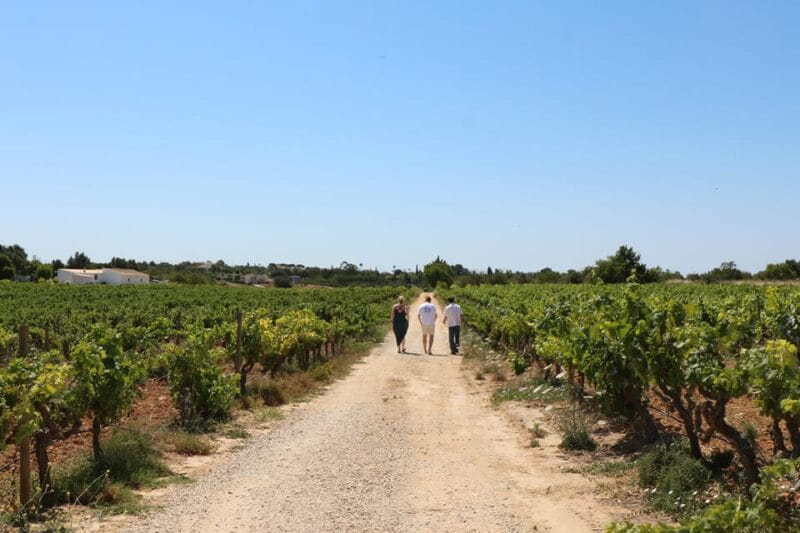 Albufeira/Porches/Vilamoura: Wine Tasting with Tapas & Music - Discovering the Algarve Wine Estate