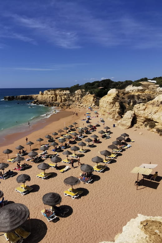 Albufeira Private Tours - What Makes the Guides and Experience Special?