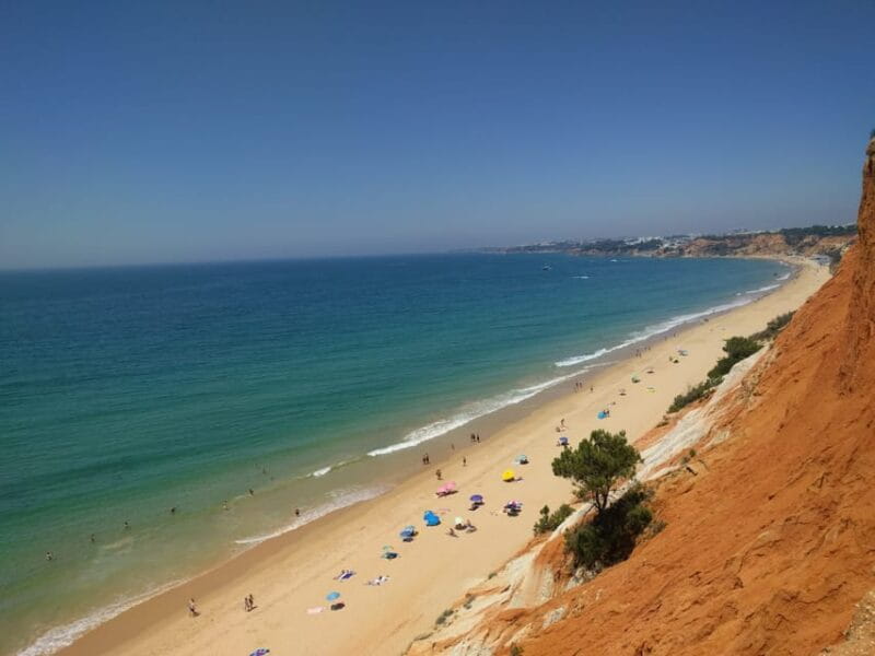 Albufeira Private Tours - Logistics, Price, and Overall Value