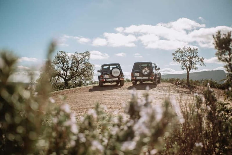 Albufeira: Vicentina Coast Tour with Lunch and Sunset Picnic - Discovering the Vicentina Coast: An In-Depth Look