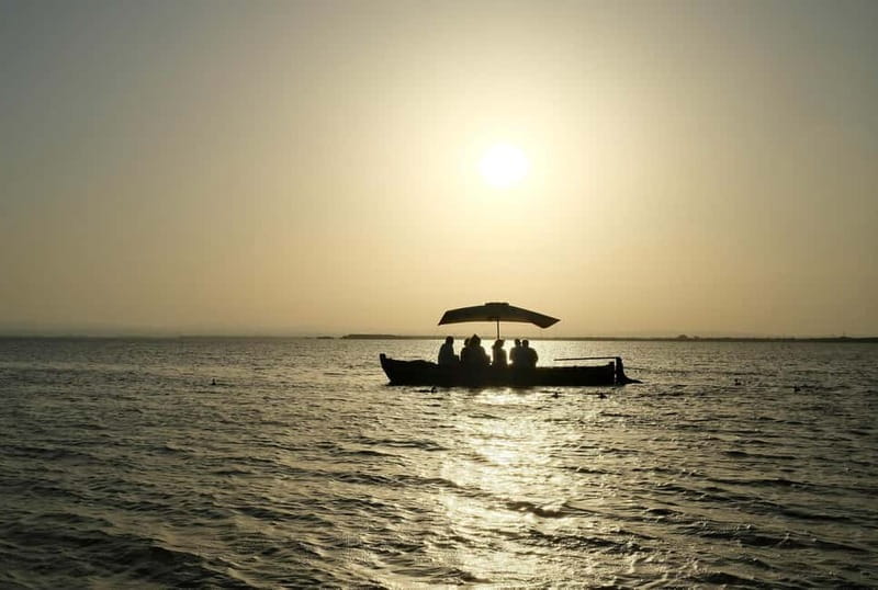 Albufera Bike Adventure: Wetlands, Beaches & Biodiversity - Exploring Valencia’s Hidden Natural Gem: The Albufera Wetlands by Bike