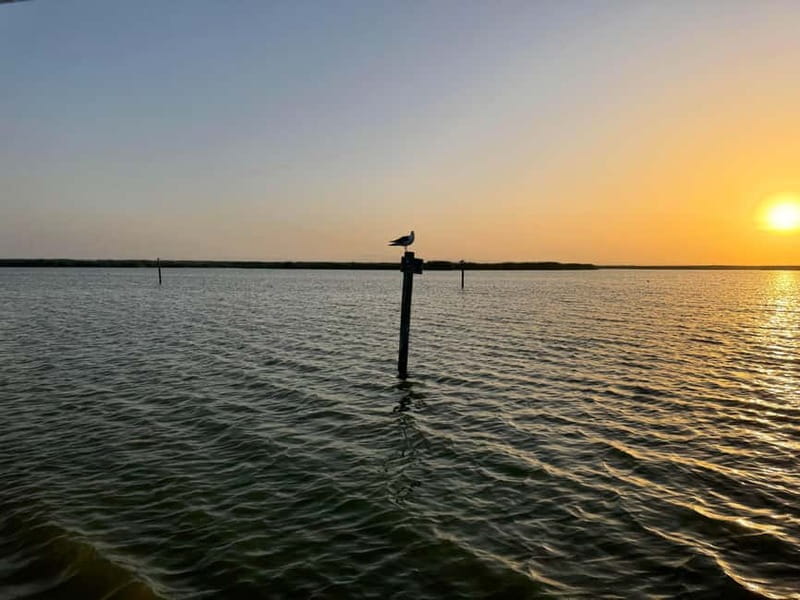 Albufera Bike Adventure: Wetlands, Beaches & Biodiversity - Final Thoughts: Is It Worth It?