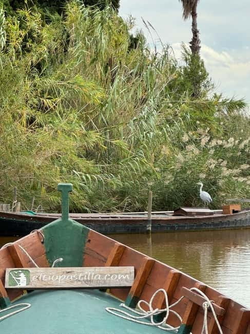 Albufera de Valencia: Guided boat ride through the Albufera - Exploring the Albufera: A Closer Look at the Experience