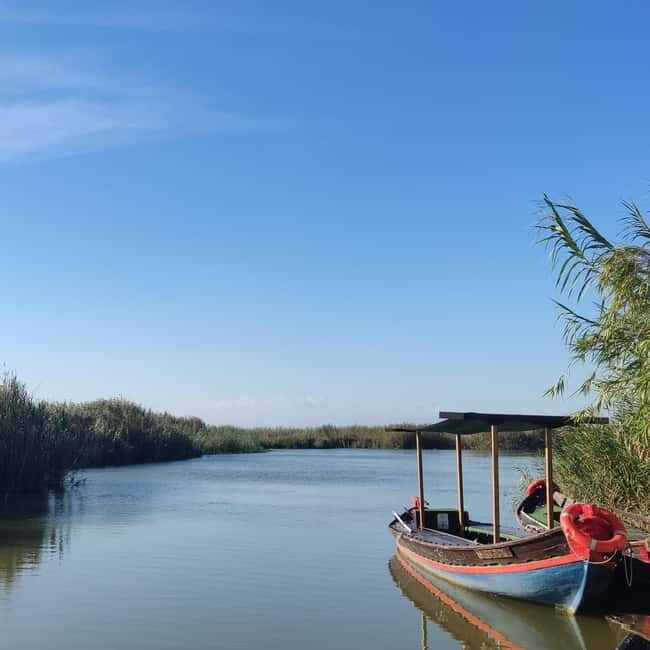 Albufera of Valencia: boat ride and visit to the barraca - Key points / Takeaways