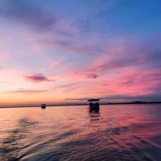 Albufera of Valencia: boat ride and visit to the barraca - Price and Overall Value