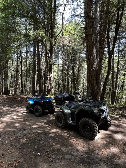 Alcantara: Valley and Gurne dell'Alcantara ATV Adventure - Key points / Takeaways