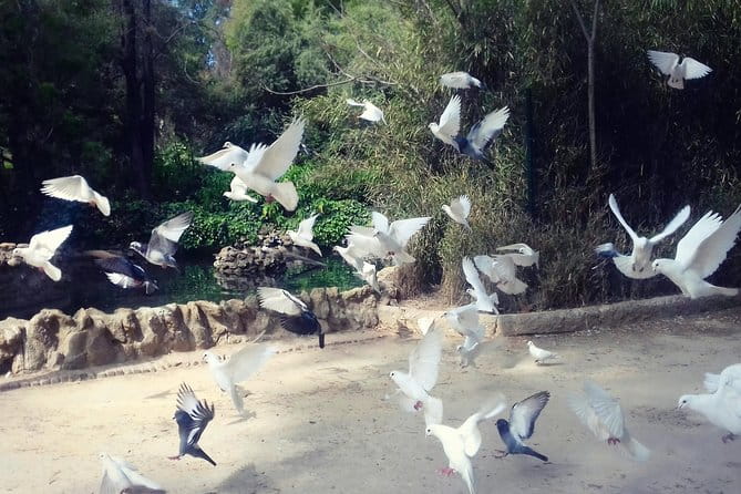 Alcazar, Cathedral, Plaza De España And Maria Luisa Park Private Tour - Exploring Seville’s Top Sights in a Private Setting