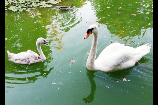 Alcazar, Cathedral, Plaza De España And Maria Luisa Park Private Tour - Final Thoughts