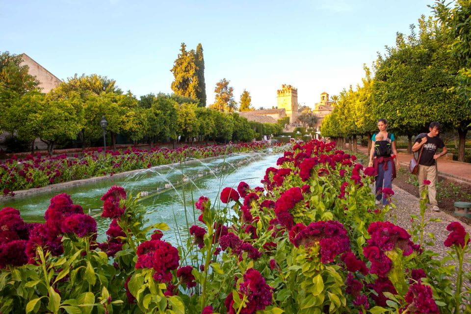 ALCAZAR + JUDAEA - Key Points