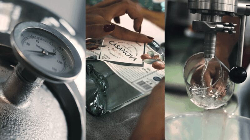 Alcobaça: Visit to the Lemos Figueiredo Winery and Distillery - In-Depth Breakdown: What to Expect on Your Visit