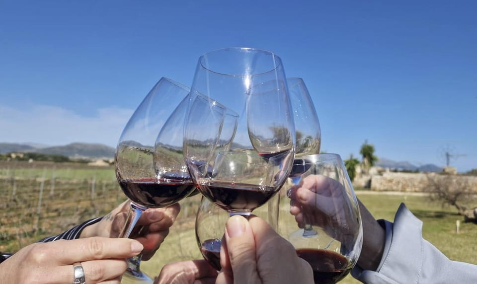 Alcúdia/Can Picafort: Guided Vineyard Visit and Wine Tasting - Experience Highlights