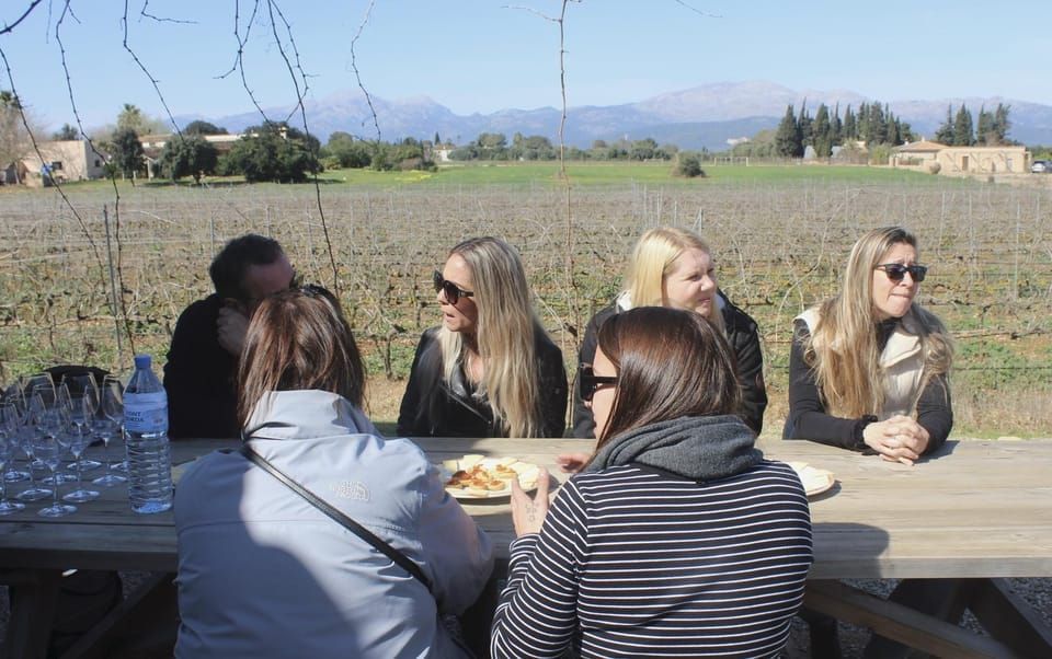 Alcúdia/Can Picafort: Guided Vineyard Visit and Wine Tasting - Booking Information
