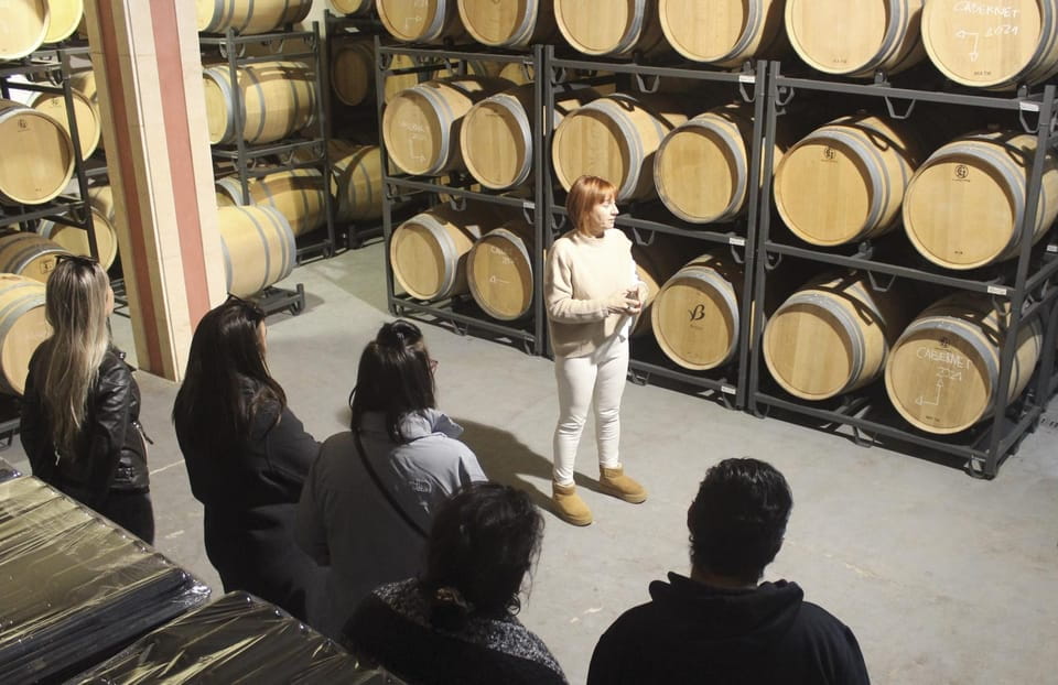 Alcúdia/Can Picafort: Guided Vineyard Visit and Wine Tasting - Tips for Visitors