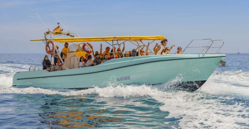 Alcudia: Coll Baix Beach & Sea Caves Cruise with Snorkeling - Exploring Coll Baix: The Beach and Water Fun