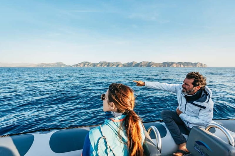 Alcudia or Can Picafort: Dolphin-Watching Cruise - Key points / Takeaways