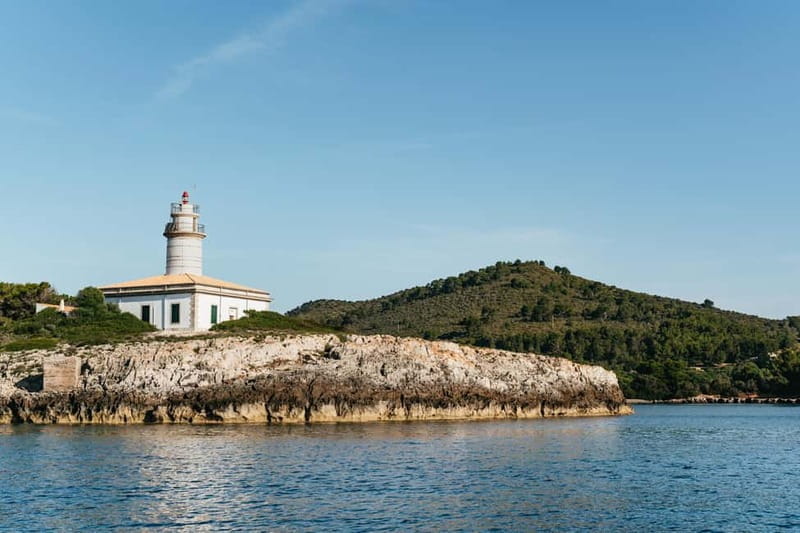 Alcudia or Can Picafort: Dolphin-Watching Cruise - A Detailed Look at the Dolphin-Watching Cruise Experience