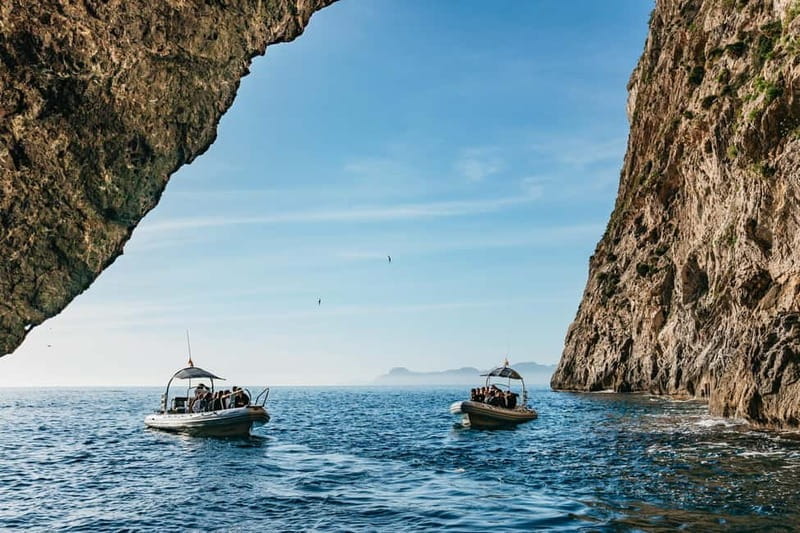 Alcudia or Can Picafort: Dolphin-Watching Cruise - Who Should Consider This Tour?