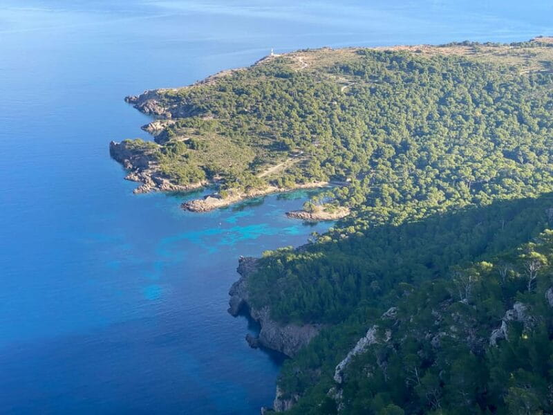 Alcudia & Pollensa Private Boat Tour, Captain, Fuel, Snorkel - Who This Tour Is Perfect For