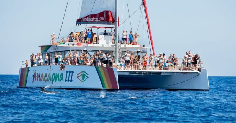 Alcudia: Sunset Catamaran Tour with Dinner and Snorkeling - Sail into the Mallorca Sunset: An Authentic Evening Experience