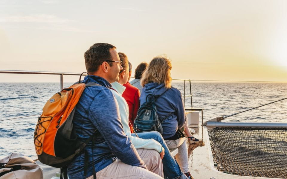 Alcudia: Sunset Catamaran Tour With Dinner and Snorkeling - Accessibility