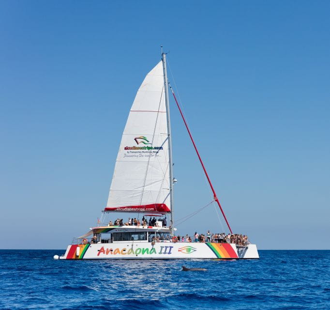 Alcudia: Sunset Catamaran Tour With Dinner and Snorkeling - Customer Reviews