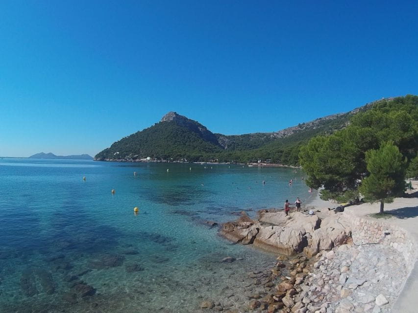 Alcudia: Trip to Formentor Beach - Experience Highlights