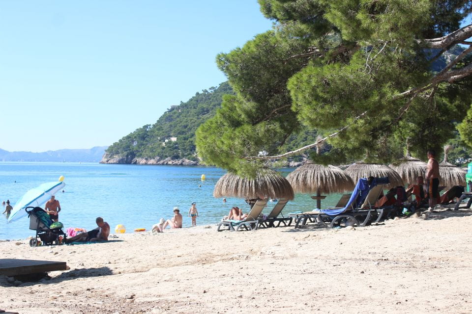 Alcudia: Trip to Formentor Beach - Booking and Cancellation Policy