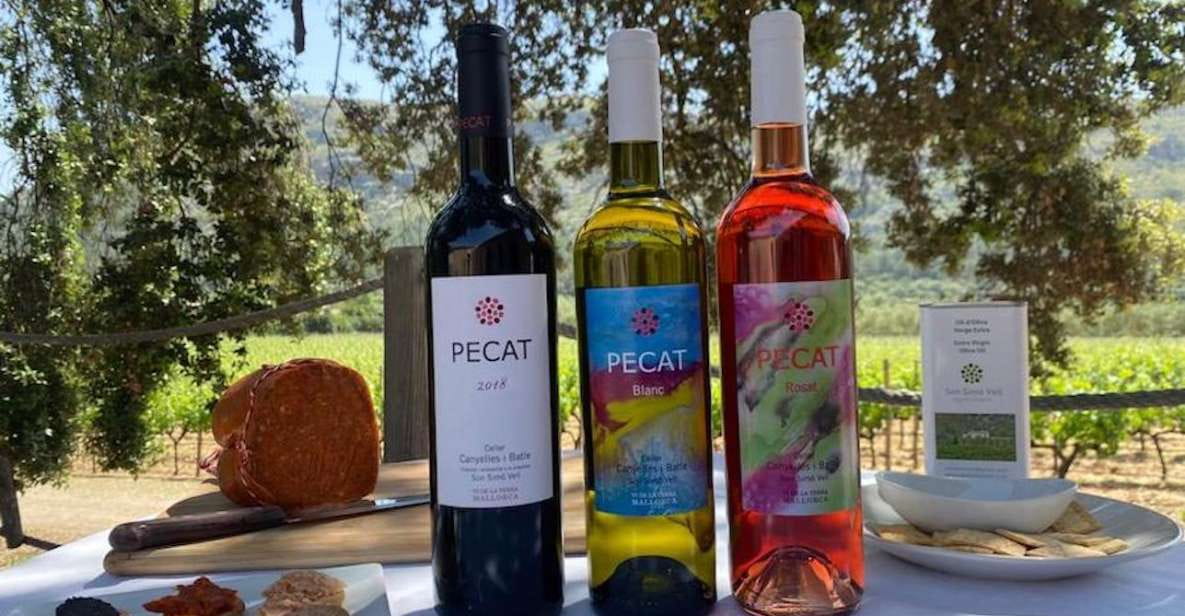 Alcudia: Vineyard Tour & Exclusive Wine Tasting Experience - Booking Details