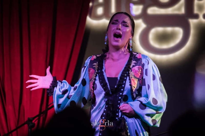 Alegria Flamenco in Malaga, with Transfer, Cocktail and Premium Location - A Deep Dive into the Flamenco Night in Malaga