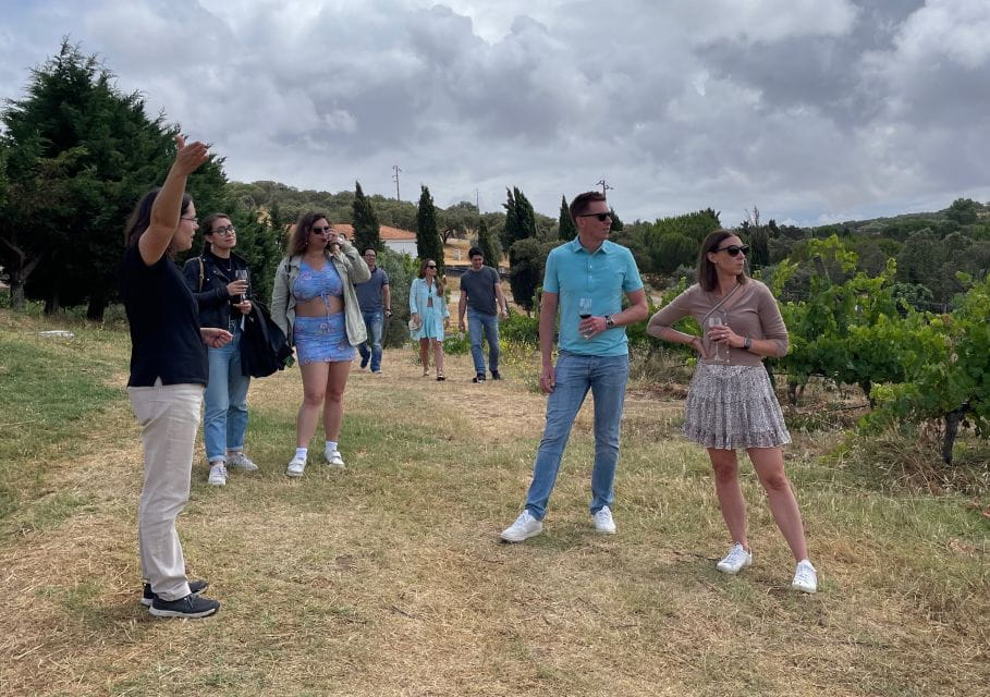 Alentejo Wine From Évora - Arraiolos Exploration