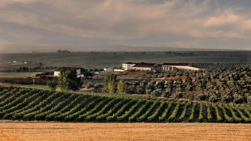 Alentejo Wine Tour from the Algarve - Entering Portugal’s Largest Wine Region