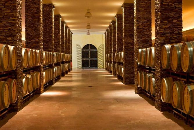 Alentejo Wine Tour from the Algarve - Who will enjoy this tour?