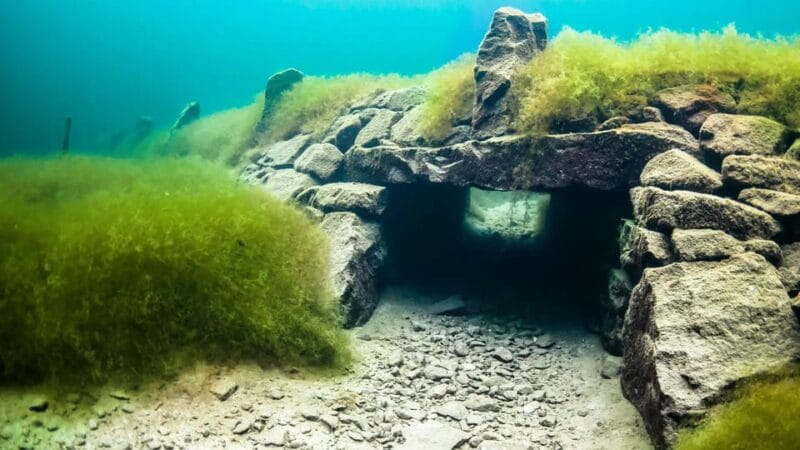 Ålesund: Fjord sightseeing bus tour, Ålesund to Øye one way - Final Thoughts: Is This Tour for You?