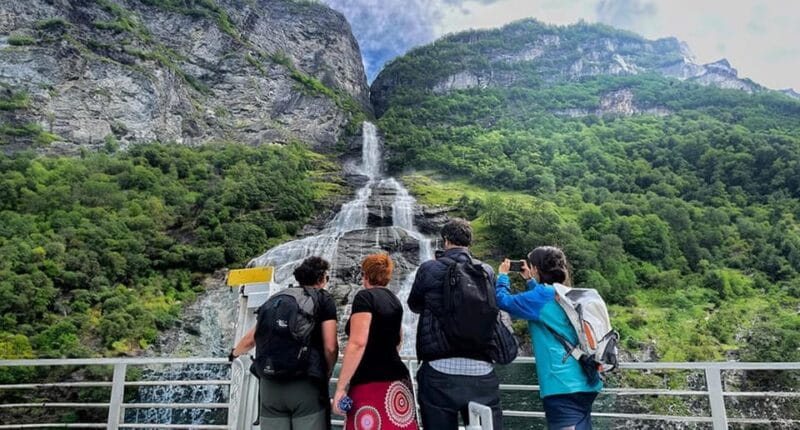 Ålesund-Geiranger Sightseeing Tour (one way) - Who Should Consider This Tour?