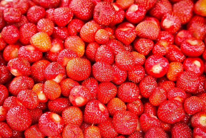 Alesund Shore Excursion: From Fjords to Trolls - Driving Along the Trollstigen