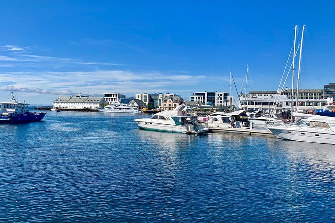 Alesund Sightseeing private tour for cruise passengers - Practical Tips for Your Alesund Tour