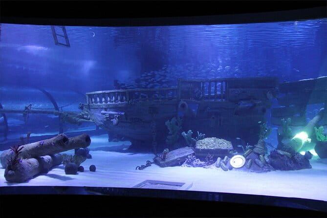 Alexander Waterfall and Antalya Aquarium Day Tour from Side - Exploring the Side Tour: A Complete Breakdown