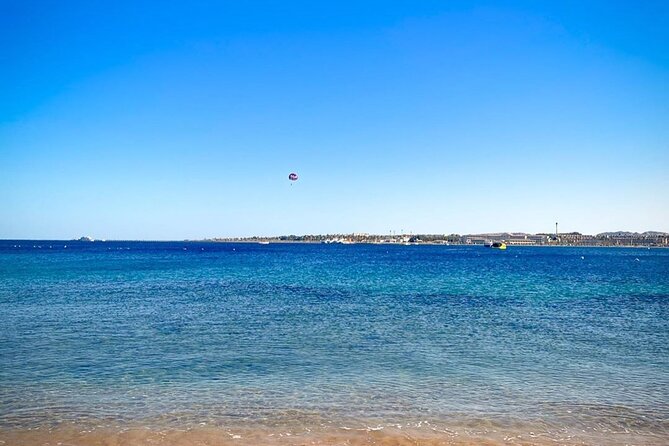 Alexandria Private Day Trip From Giza - Customer Feedback