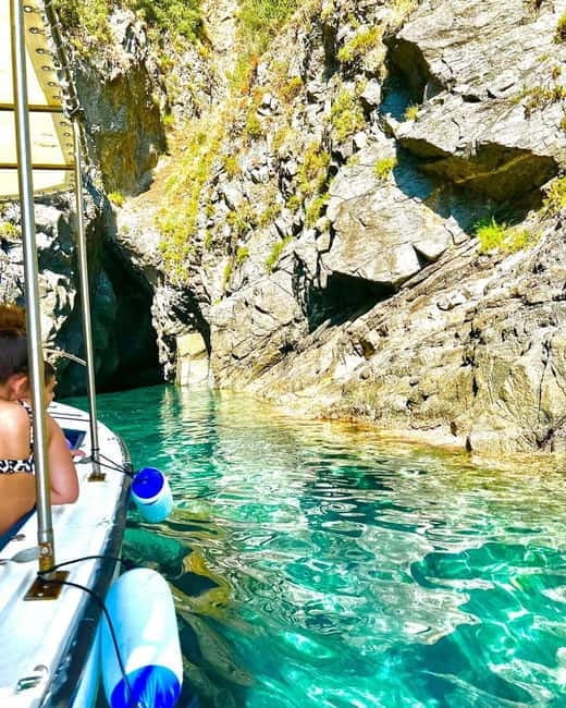 Alfotour tour 2 ore giro della costa viola - The Charm of Starting in Scilla