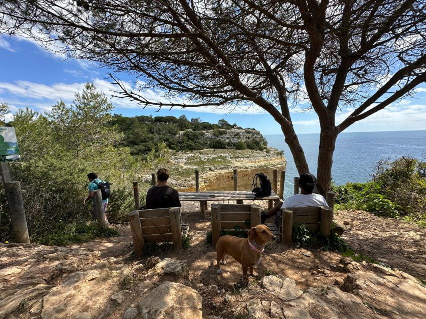 Algarve: 7 Seven Hanging Valley Hike Tour- Photos & Transfer - Languages and Cancellation Policy
